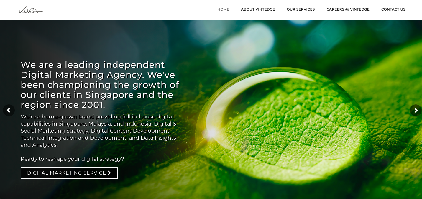 vintedge.com
