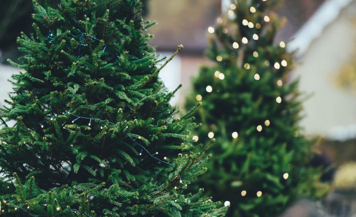 Christmas trees