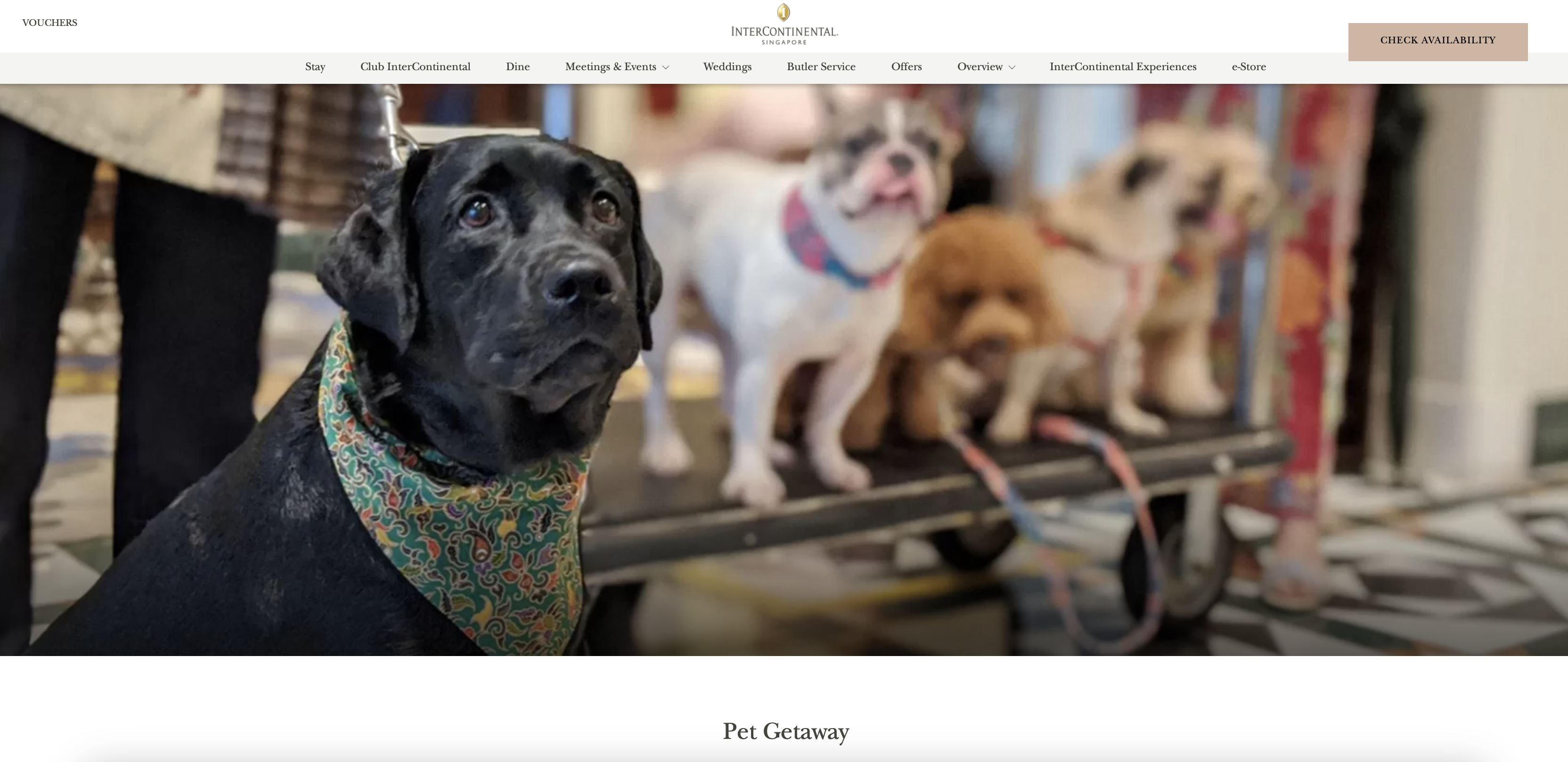 InterContinental Singapore Pet Getaway