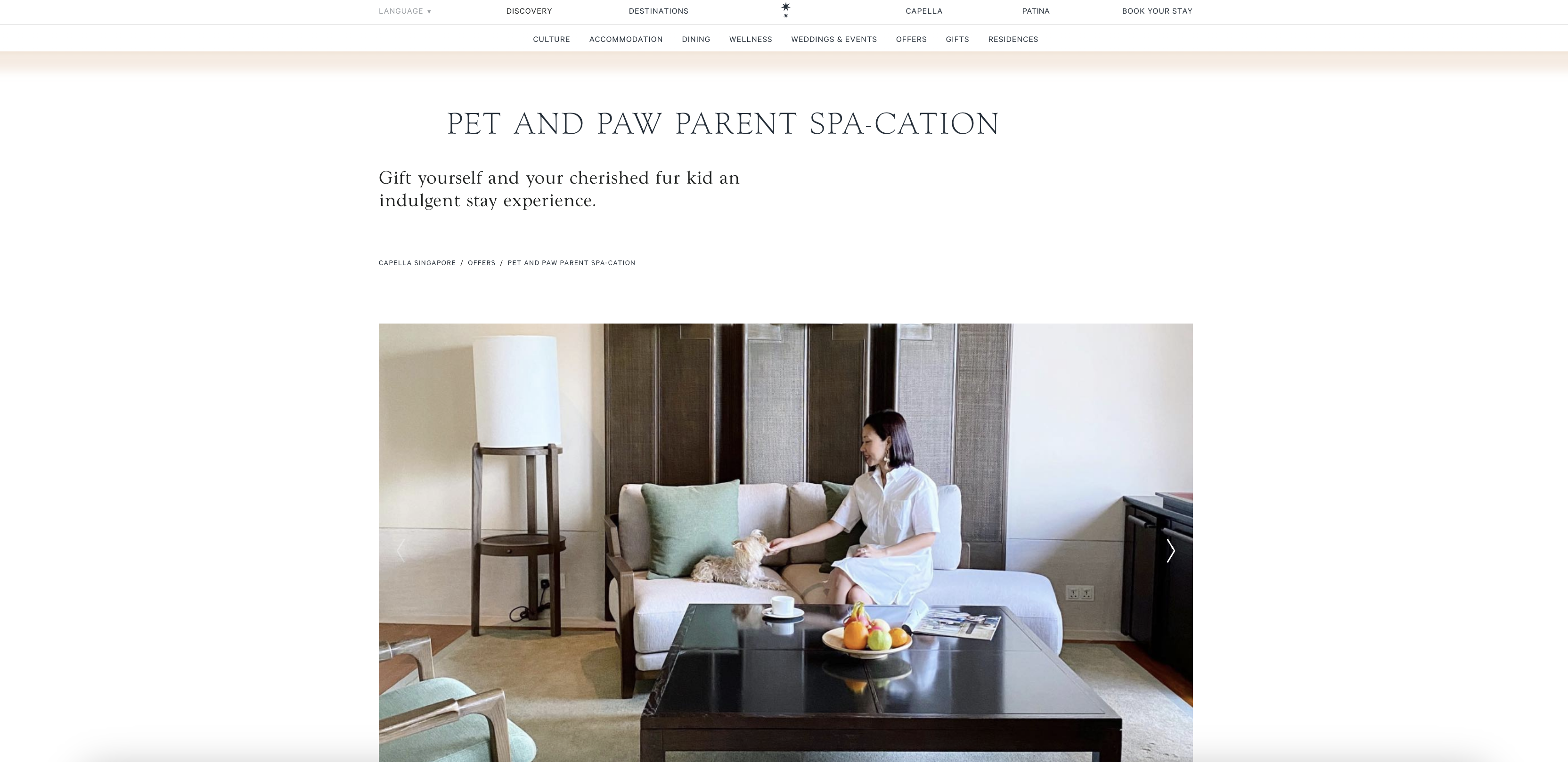 PET AND PAW PARENT SPA-CATION