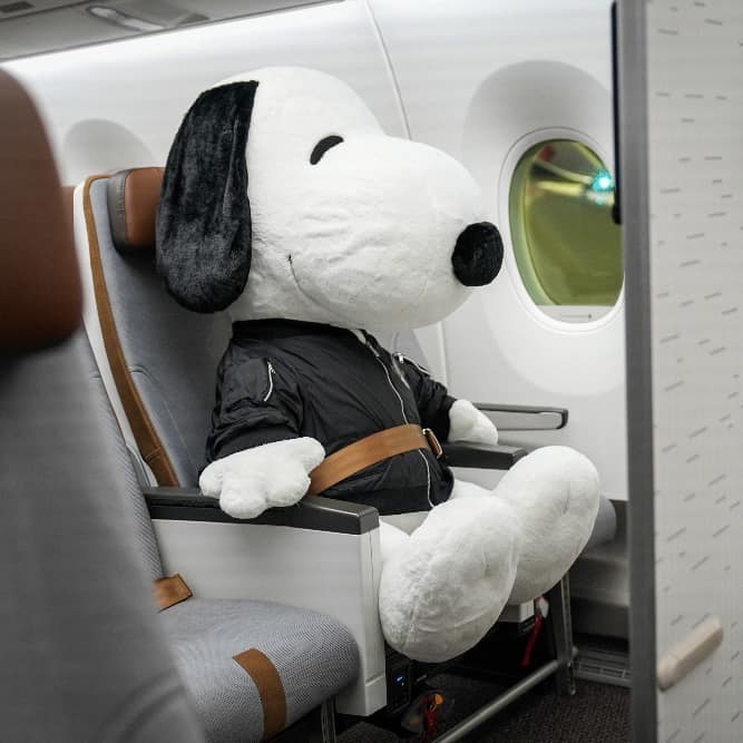 Lobang: STARLUX Airlines launches Snoopy-themed flights from Jun, 15, 2024 - 15
