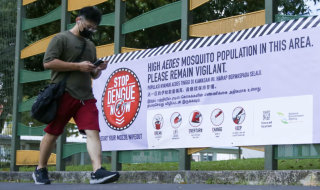 stop dengue now banner