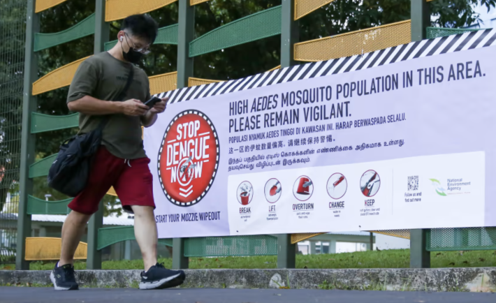 stop dengue now banner