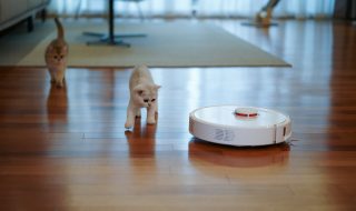 robot vacuum cleaner with two kittens