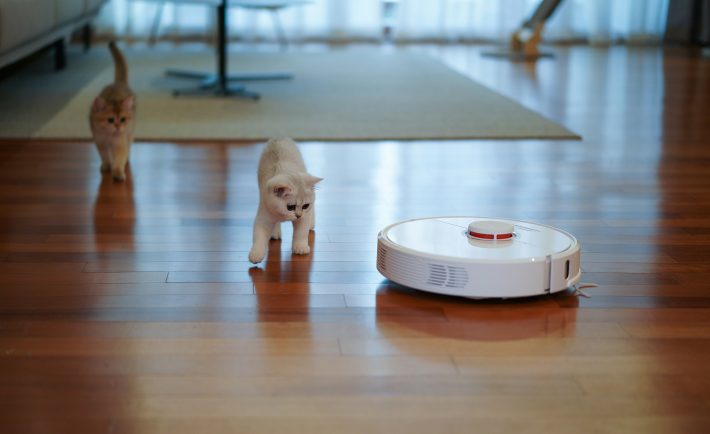 robot vacuum cleaner with two kittens