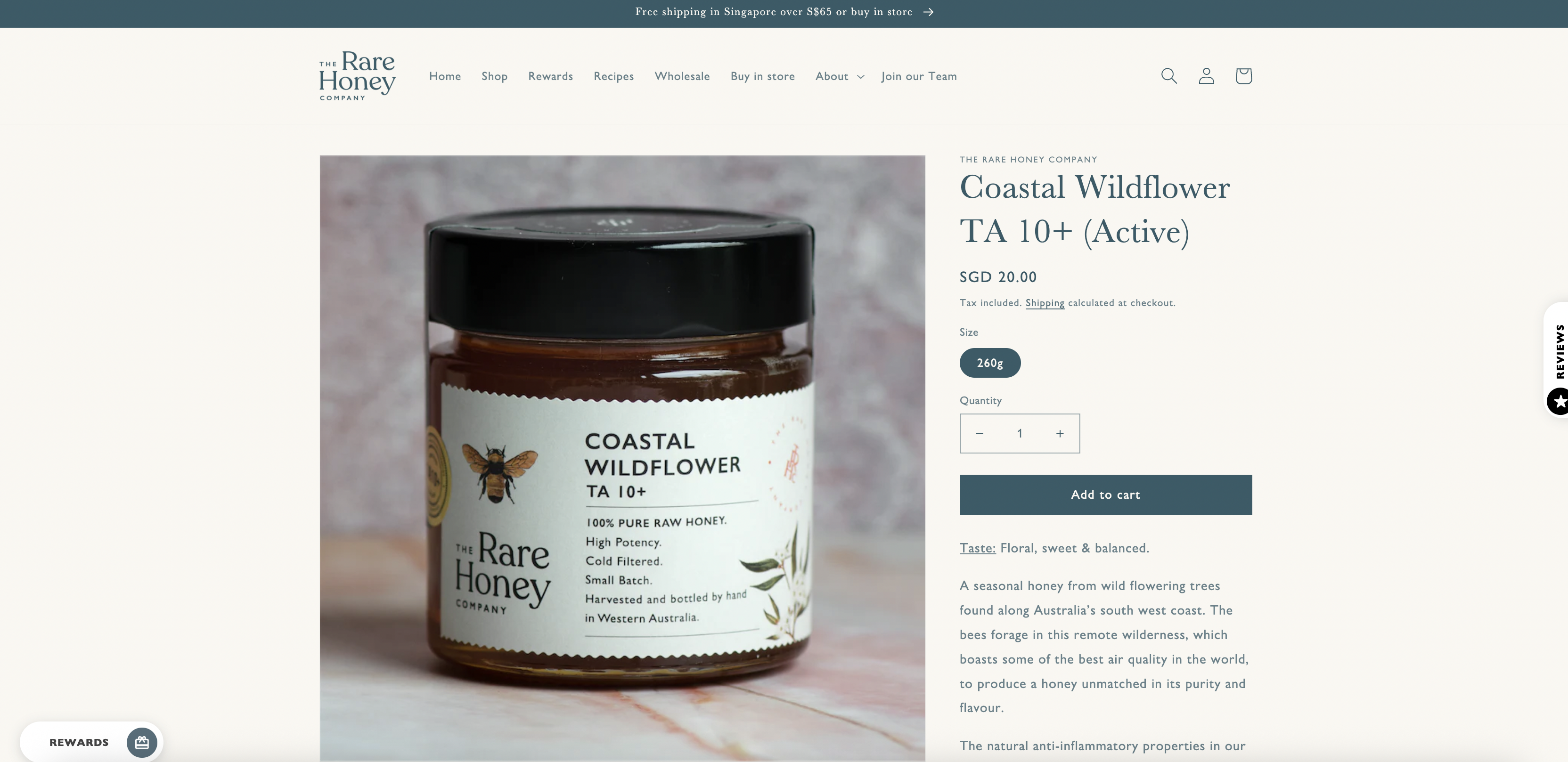 Coastal Wildflower TA 10+ (Active)