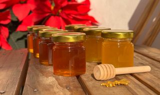 honey bottles