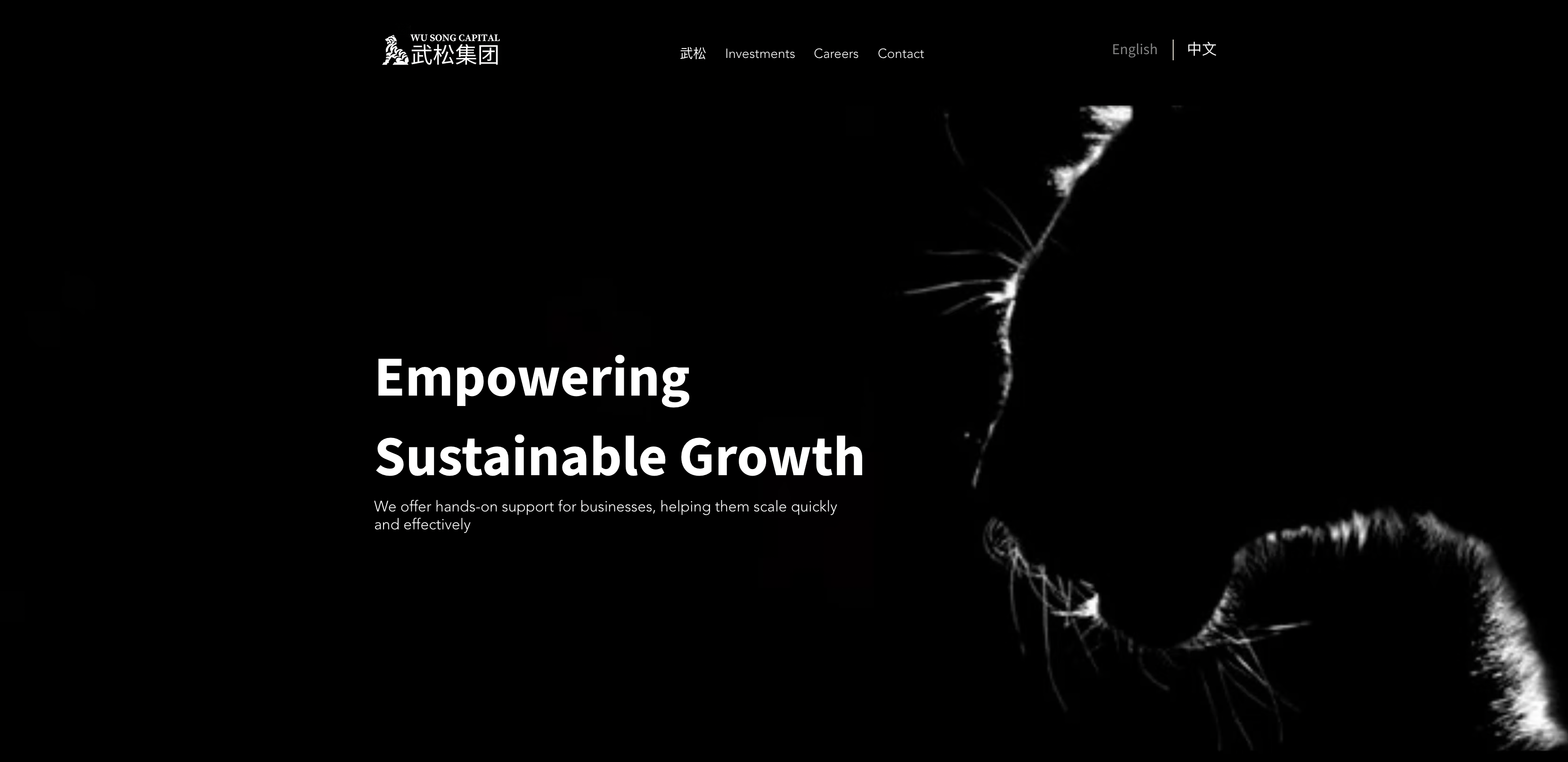 wusongcapital.com