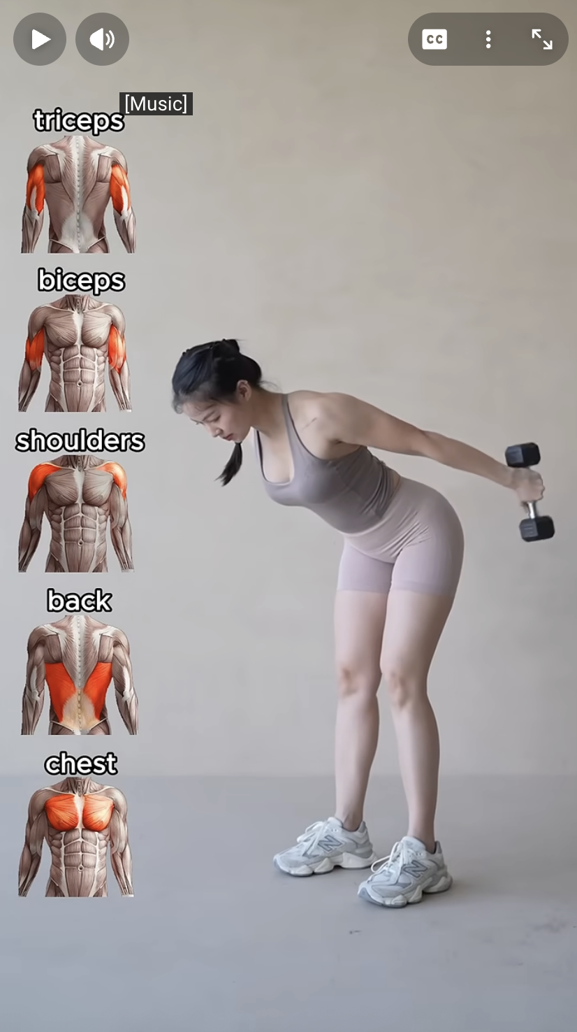 Beginner Upper Body Program | 5 Exercises