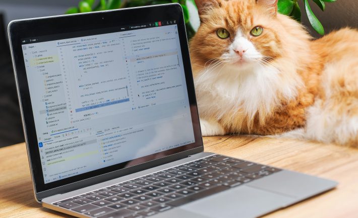 an orange car sits next to a laptop