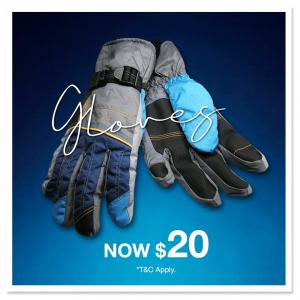 Gloves $20